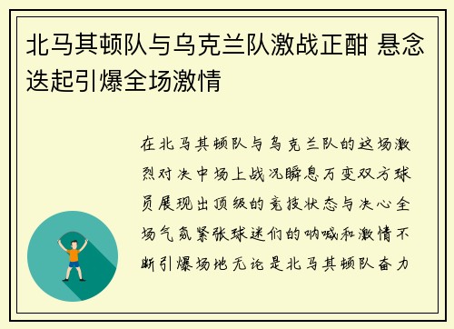 北马其顿队与乌克兰队激战正酣 悬念迭起引爆全场激情