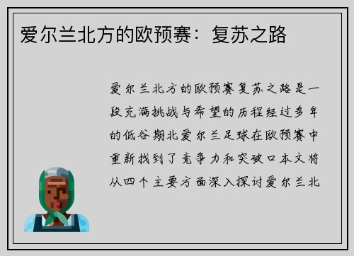 爱尔兰北方的欧预赛：复苏之路